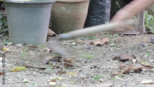 Wallpaper Mural closeup old man get rid of weed Torontodigital.ca