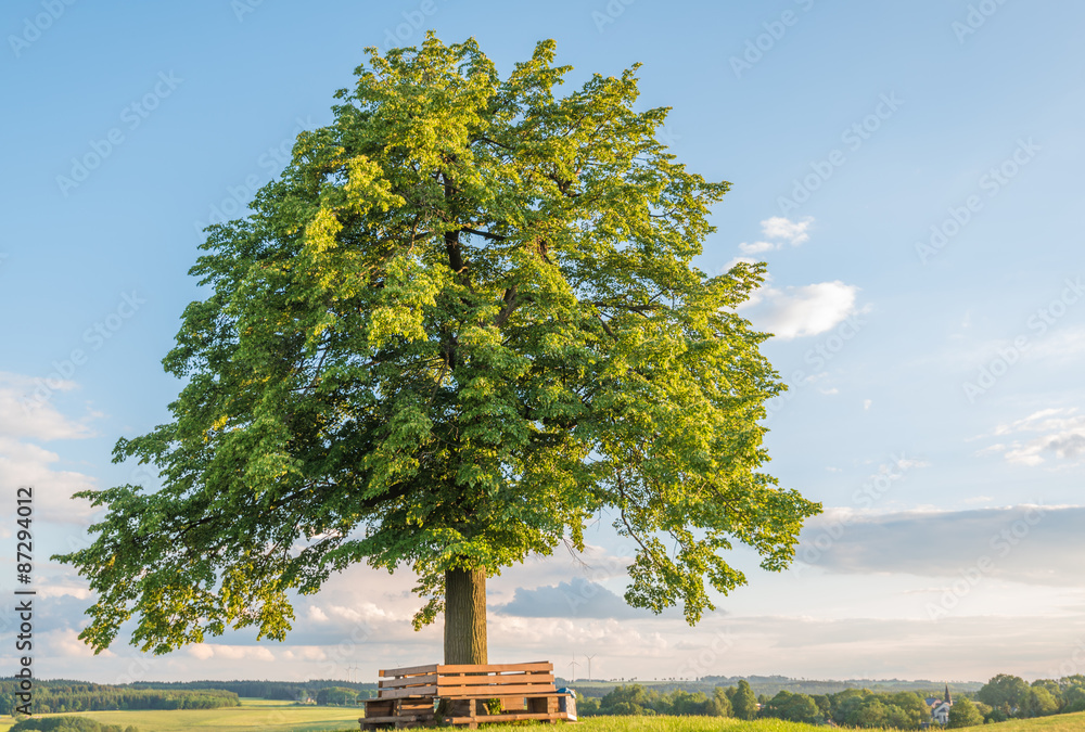 Obraz premium Reuther Linde