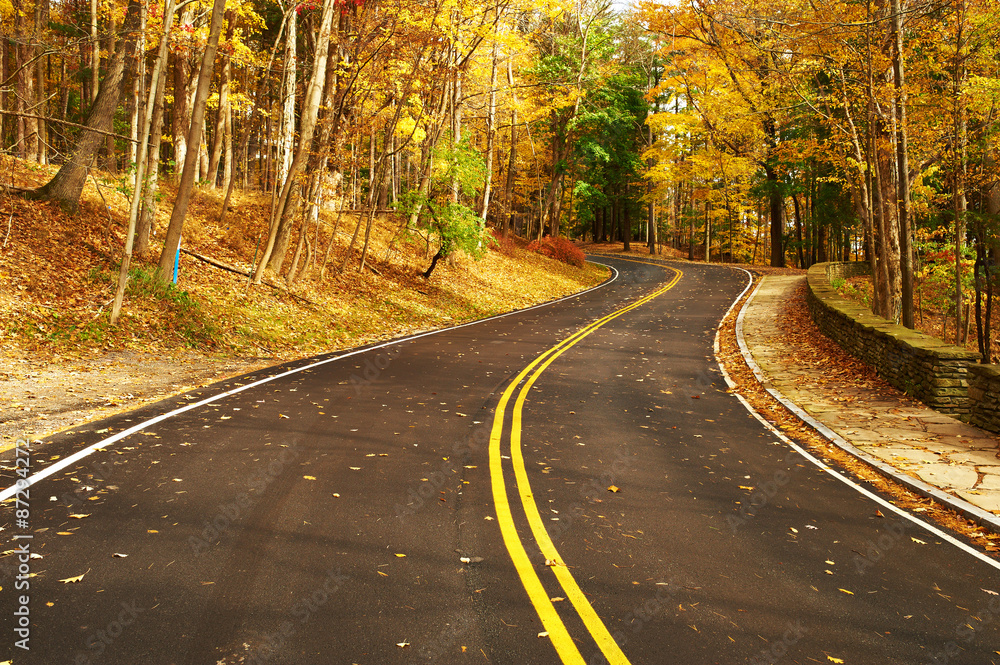 Fototapeta premium Autumn scene with road in forest