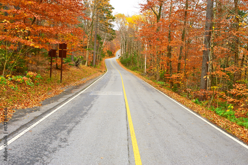 Naklejka premium Autumn scene with road