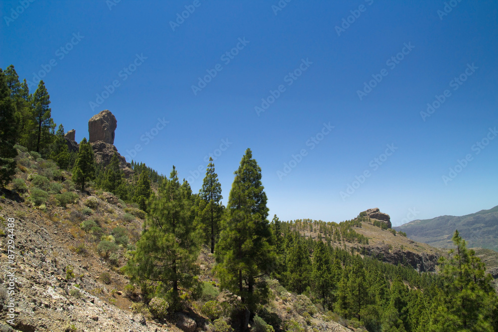 Inland Central Gran Canaria,  Roque Nublo and Canary Islands pin