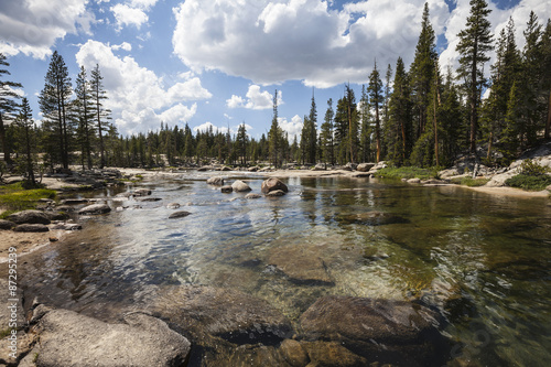 Yosemite National Park Toul...