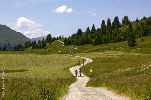 Wallpaper Mural Alp Flix – Wandern in den Alpen Torontodigital.ca