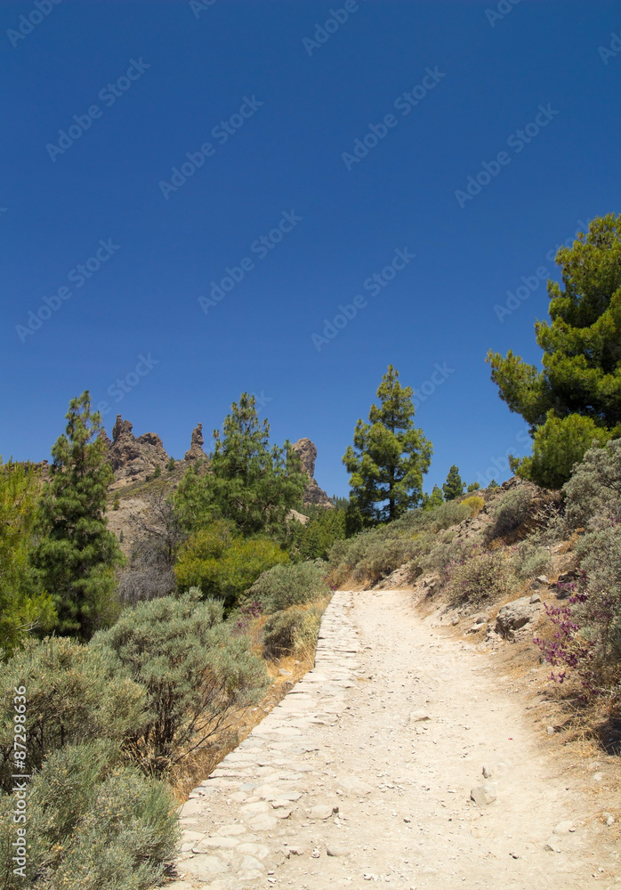 Fototapeta premium Gran Canaria, footpath to Roque Nublo