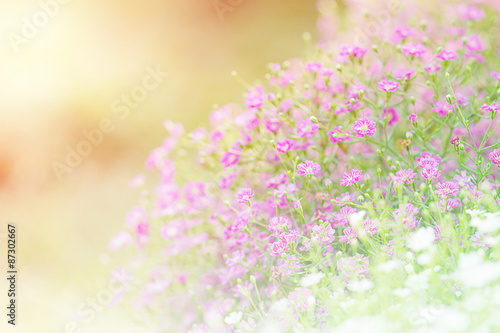 flower background.