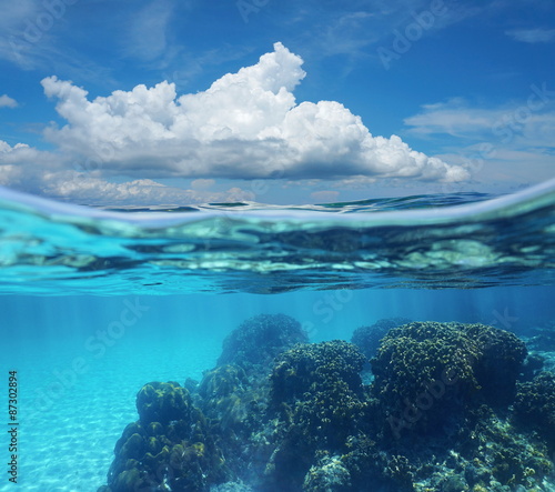 Split image sky cloud and coral reef underwater