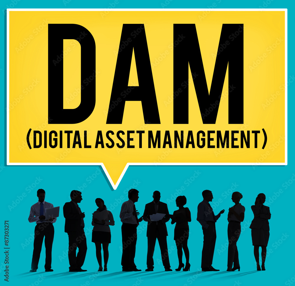 DAM Digital Asset Management Organization Concept DAM Digital Asset Management Organization Concept