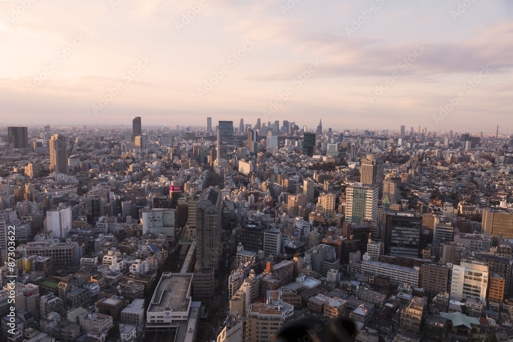 東京都市風景　渋谷と新宿高層ビル群を望む　夕暮れ