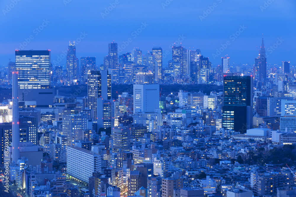 東京都市風景　渋谷と新宿高層ビル群を望む　夜景