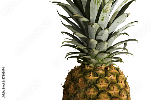 Fresh Pineapple