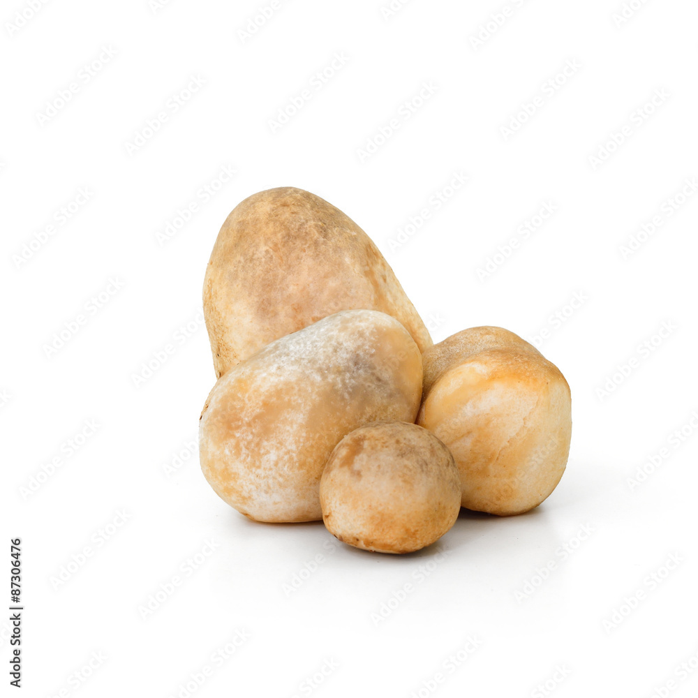 Volvariella volvacea, Straw Mushroom on white background Volvariella volvacea, Straw Mushroom on white background