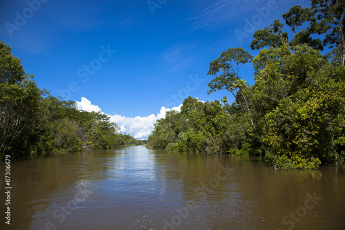 アマゾン川支流とジャングル © top10top