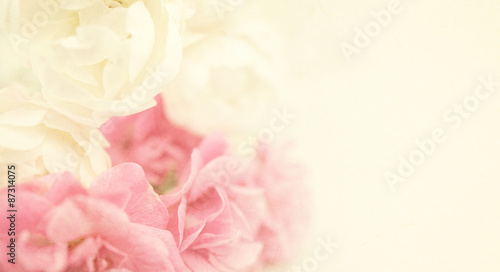 sweet color roses in soft and blur style on mulberry paper texture 