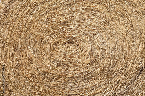 A close-up shot of a large bail of hay, roll of hay