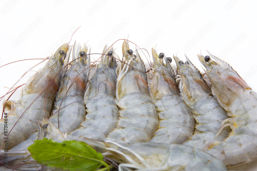 raw shrimps on white background raw shrimps on white background