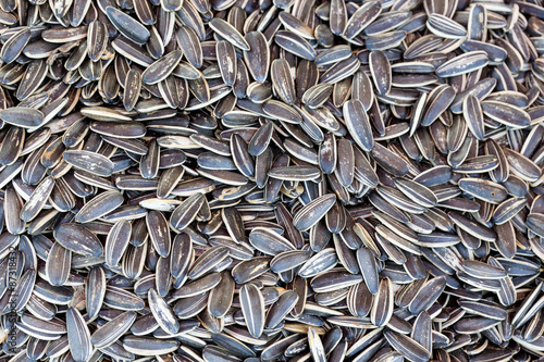 background of organic sunflower seed