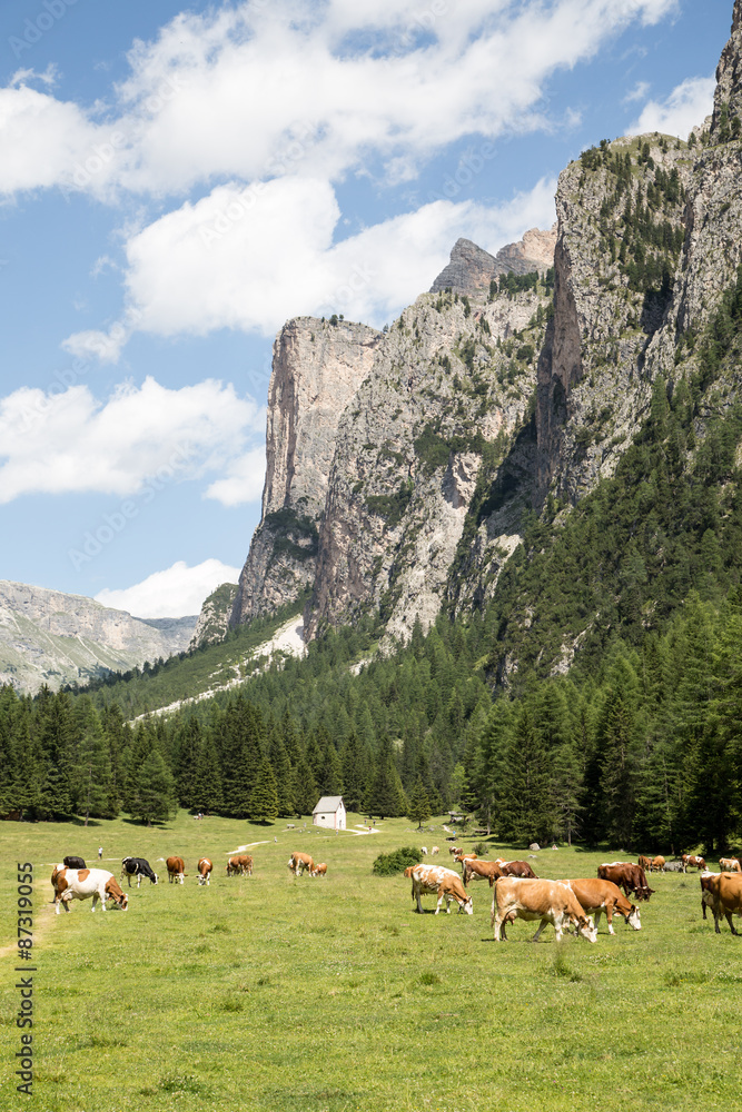 Idyllic valley in Val Gardena, South Tyrol, Italy