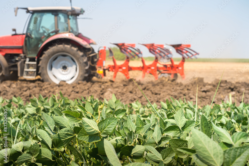 Naklejka premium Tractor plowing