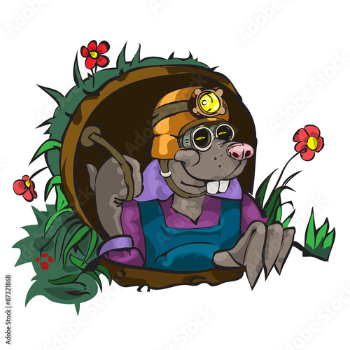 Cartoon Character Mole 