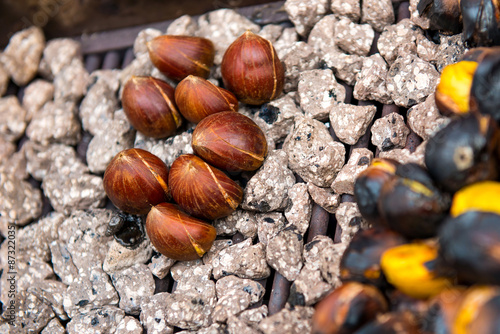 Fotografie Chestnut (Castanea fruits)
