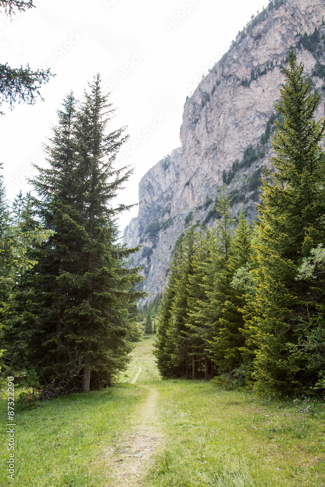 Fototapeta premium Small hiking path in the Dolomites