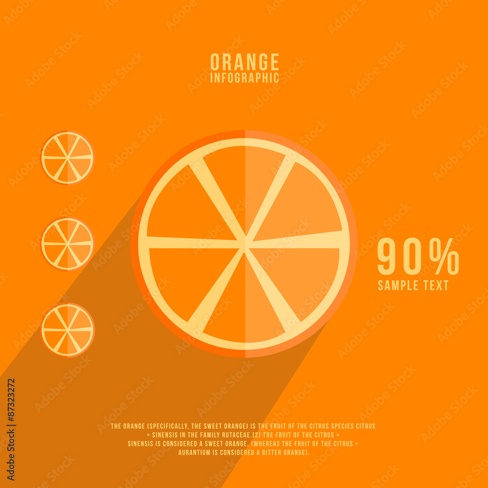 fruits vector illustration. orange, infographics fruits vector illustration. orange, infographics