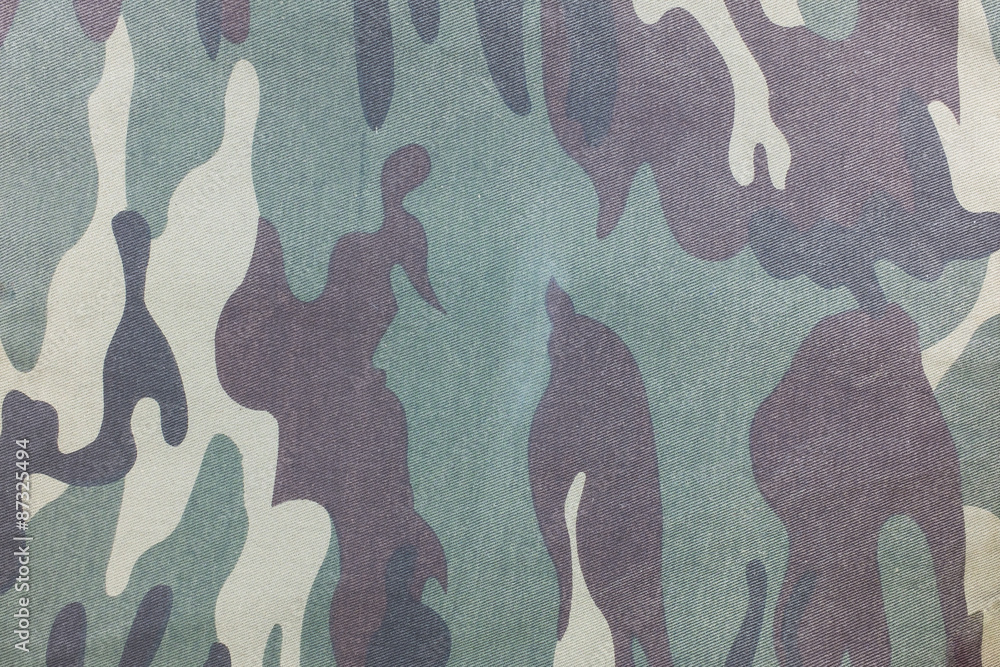 Naklejka premium Camouflage pattern and background.