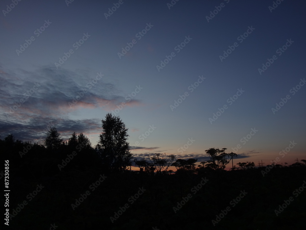 Obraz premium Догорающий розовый закат и синее небо с перистыми облаками поздним летним вечером