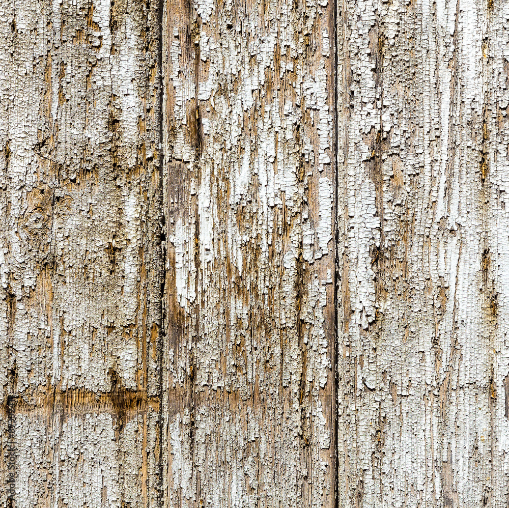 Obraz premium paint at wood