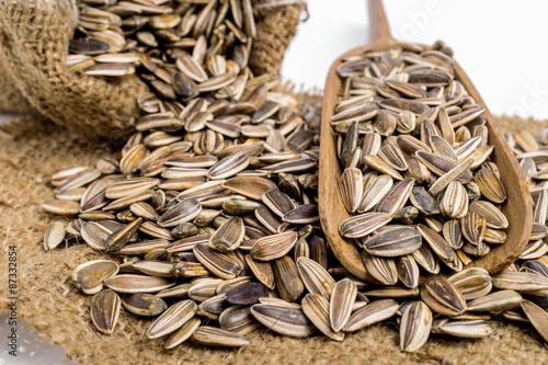 Fotografie Sunflower seeds