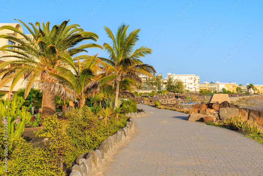 Palm trees and hotel buildings along coastal promenade in Playa Blanca village, Lanzarote, Canary Islands, Spain