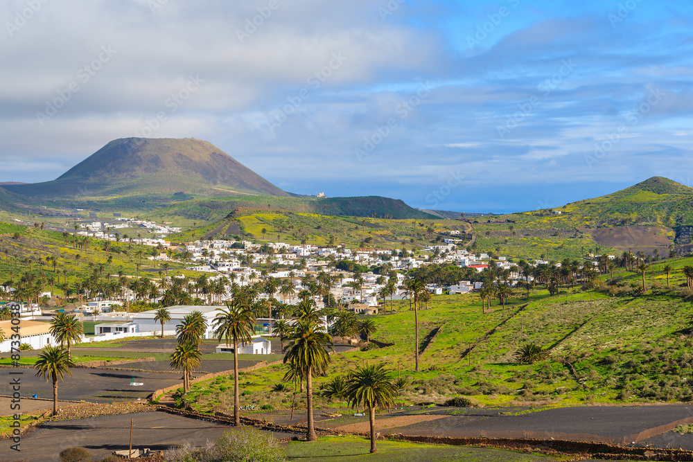 Palm trees in Haria mountain village, Lanzarote, Canary Islands, Spain