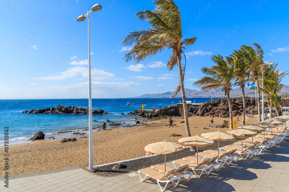 Tropical beach with palm trees and sunbeds in Puerto del Carmen, Lanzarote, Canary Islands, Spain