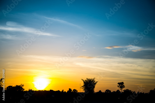 Landscape, sunny dawn in a field © toeytoey