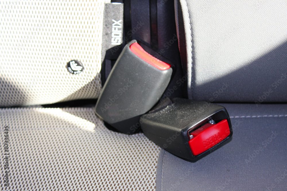 seat belt on a back seat in the car seat belt on a back seat in the car