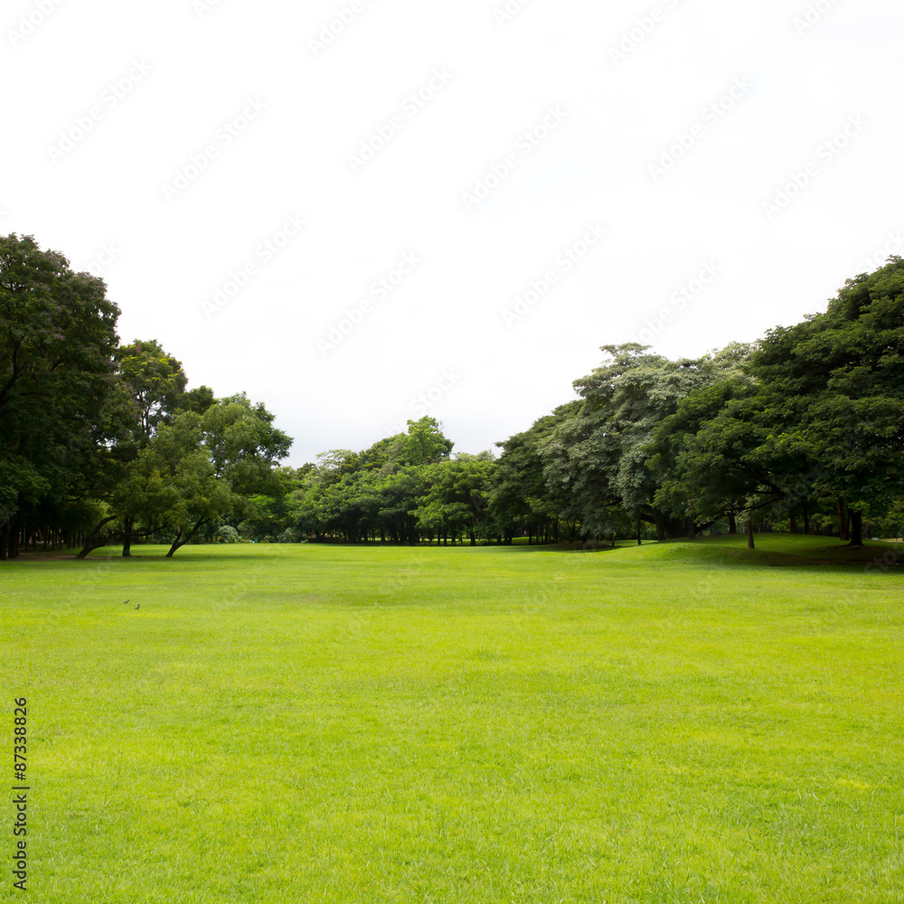 Green field in the park