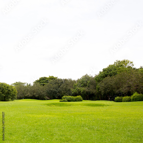 Fototapeta Naklejka Na Ścianę i Meble -  Green field in the park