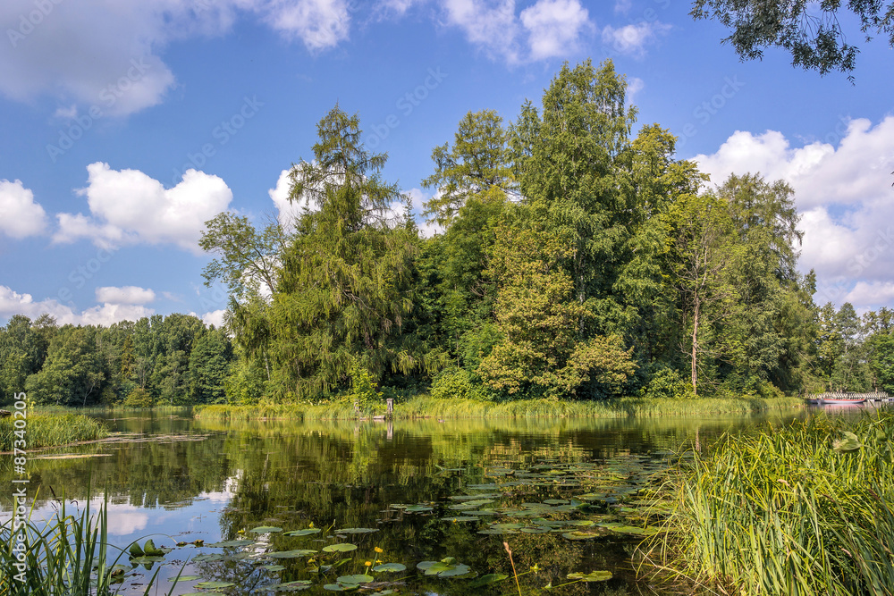 an island on the lake, the island grew tall trees an island on the lake, the island grew tall trees