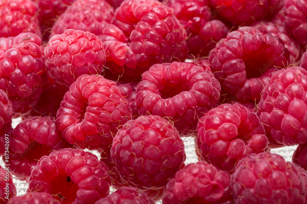 A beautiful selection of freshly picked ripe red raspberries. A beautiful selection of freshly picked ripe red raspberries.