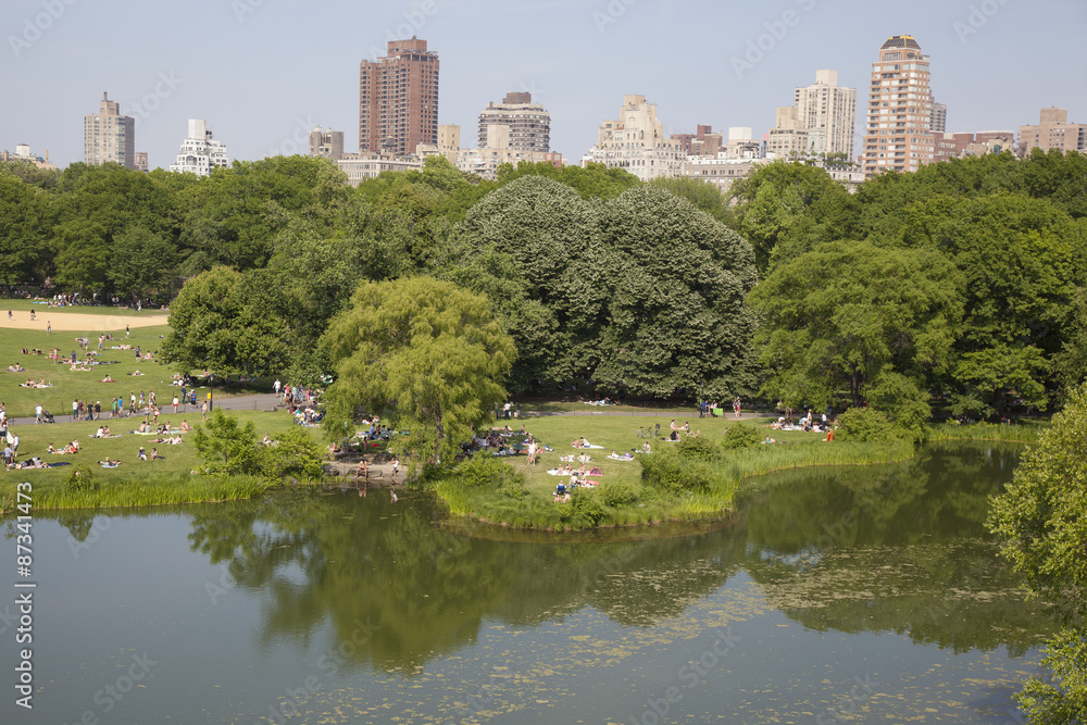 Turtle Pond and The Great Lawn in Central Park New York City Turtle Pond and The Great Lawn in Central Park New York City