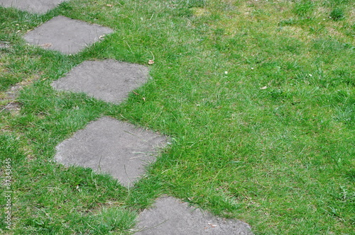 path in grass