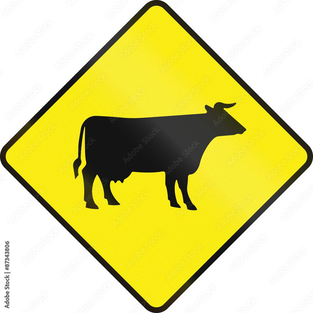 Irish road warning sign - Cattle crossing Irish road warning sign - Cattle crossing