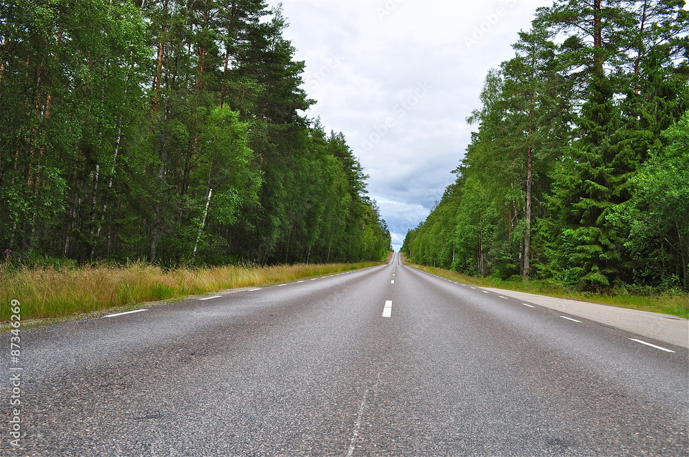 Fototapeta premium Autostrasse durch den Wald von Schweden