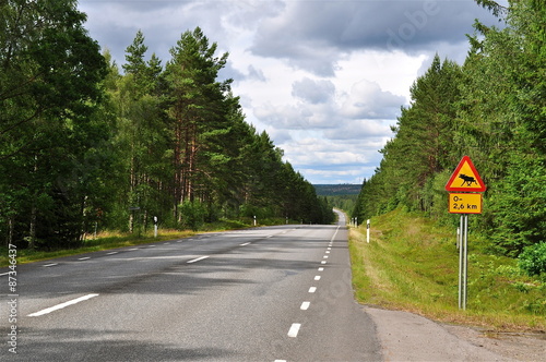 Strasse durch Schwedens Wildnis mit Elchsignal