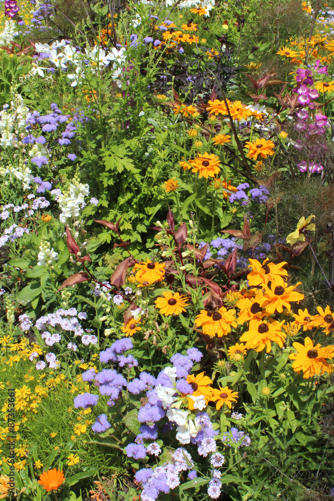  Plate-bande de fleurs variées
