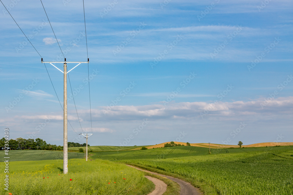 Powerlines on mature rape field