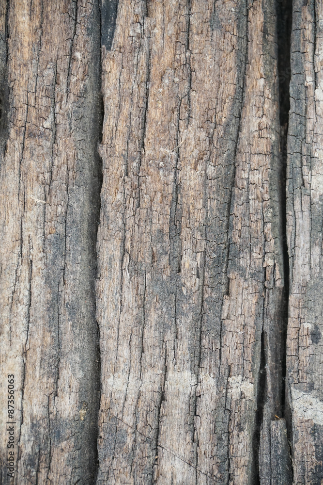 Obraz premium Wood Texture background.