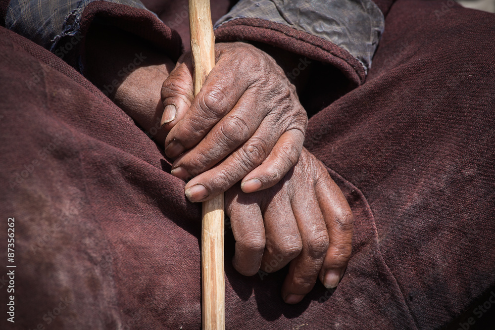 Old Tibetan man hand. Ladakh, India