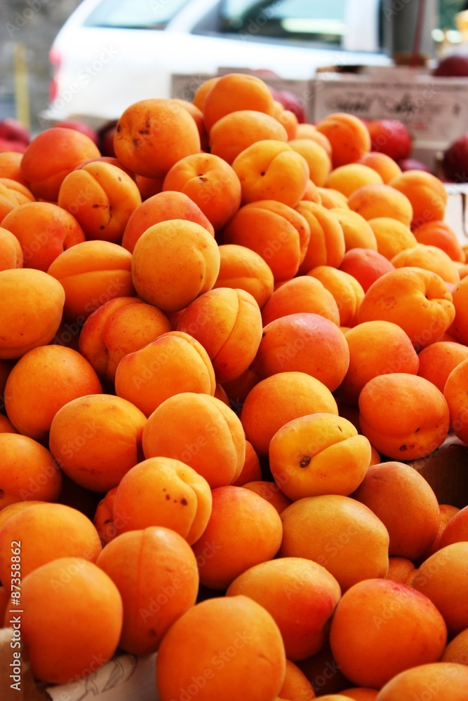Many freshly harvested apricots for sale
