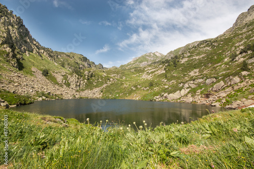 Ruisseau en Montagne, Pyrénées France